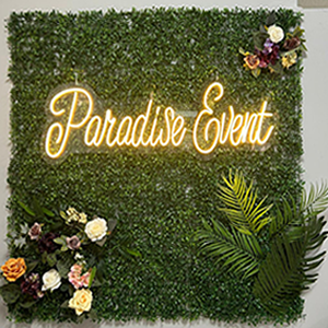 Paradise Organizasyon  Organizasyon firmasi
