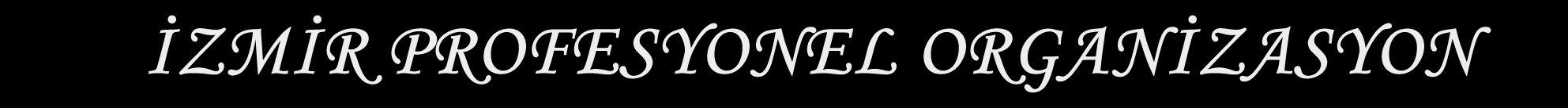 Organizasyon  firmasi